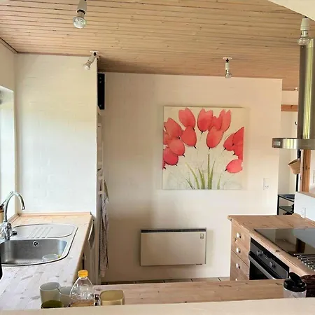 Holiday home 20708-ulfborg-sortebaervej-6 *