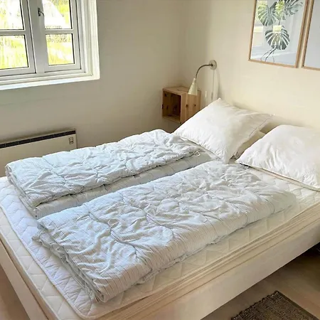 Ferienhaus 20708-ulfborg-sortebaervej-6